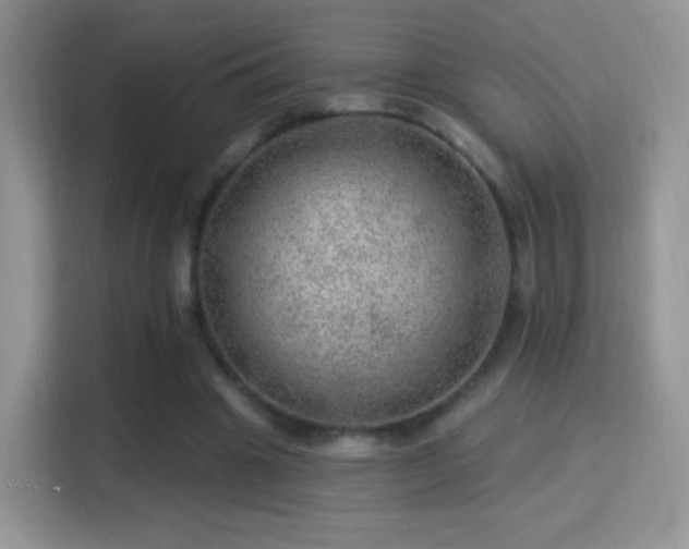X0000116010441200911251124