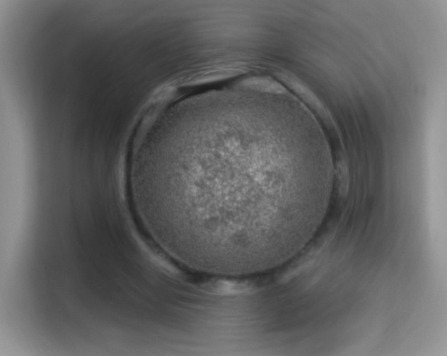 X0000116010442200911251124