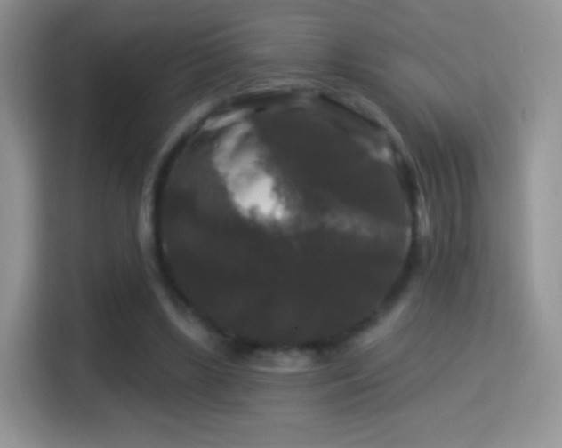 X0000116010443200911251124