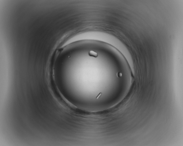X0000116010444200911251124