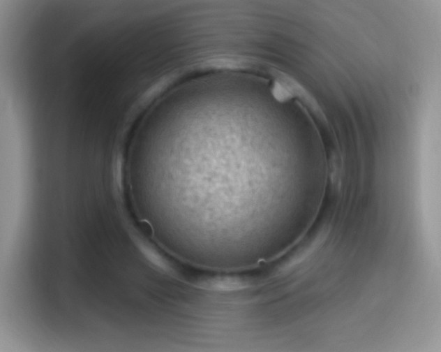 X0000116010445200911251124