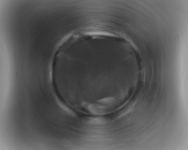 X0000116010446200911251124