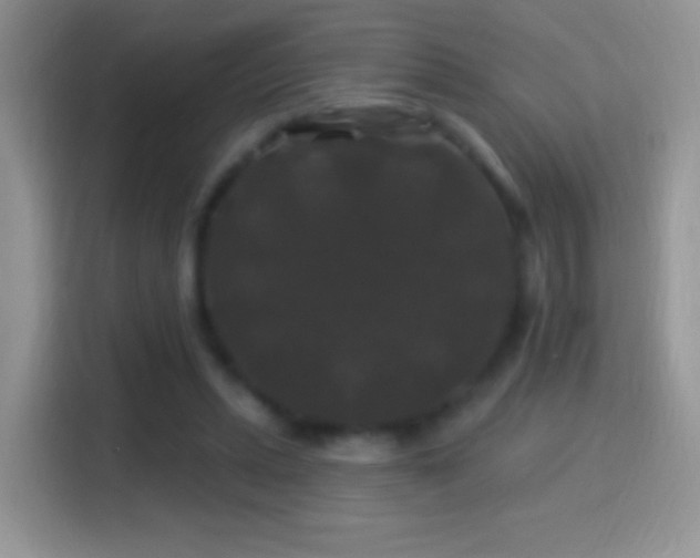 X0000116010447200911251124