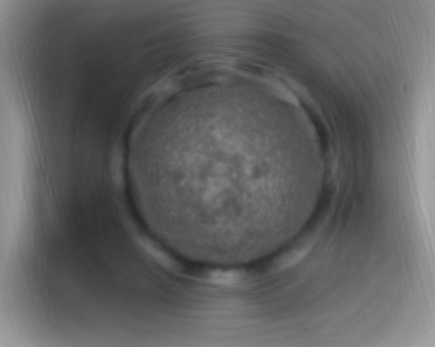 X0000116010450200911251124