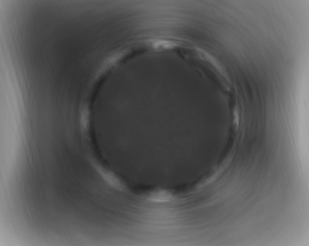 X0000116010451200911251124