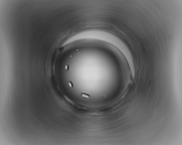 X0000116010452200911251124