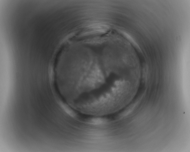X0000116010453200911251124