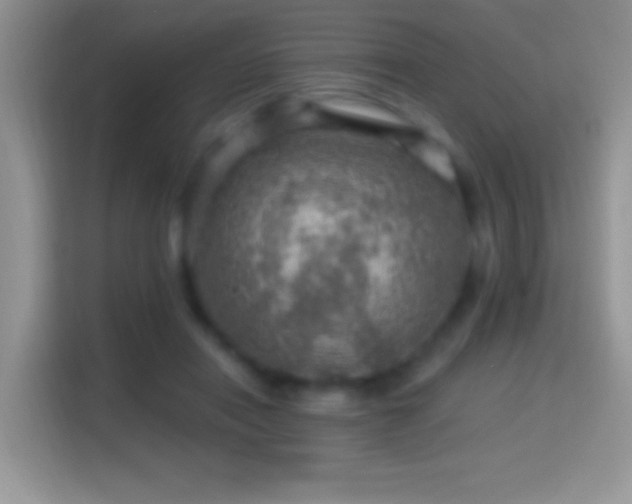 X0000116010454200911251124
