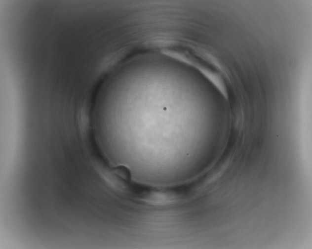X0000116010455200911251124