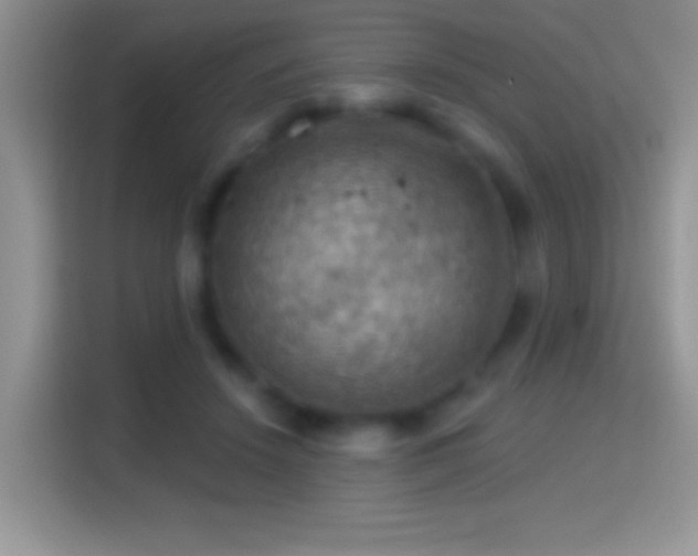 X0000116010456200911251124