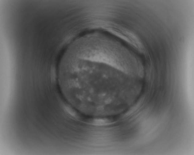 X0000116010457200911251124