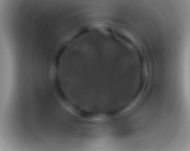 X0000116010459200911251124