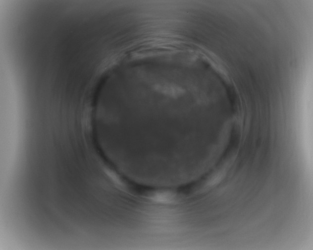 X0000116010462200911251124