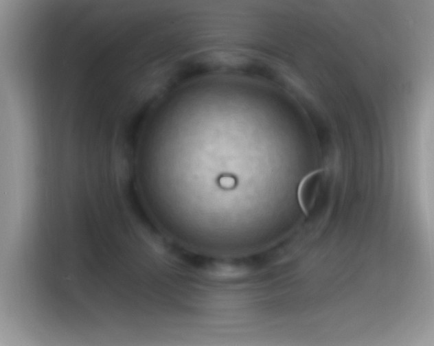 X0000116010464200911251124