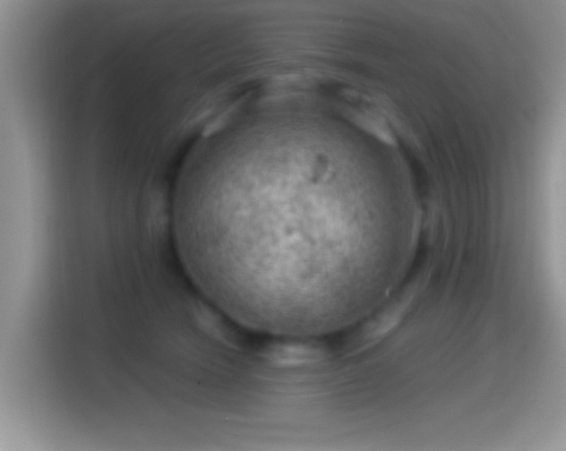 X0000116010466200911251124