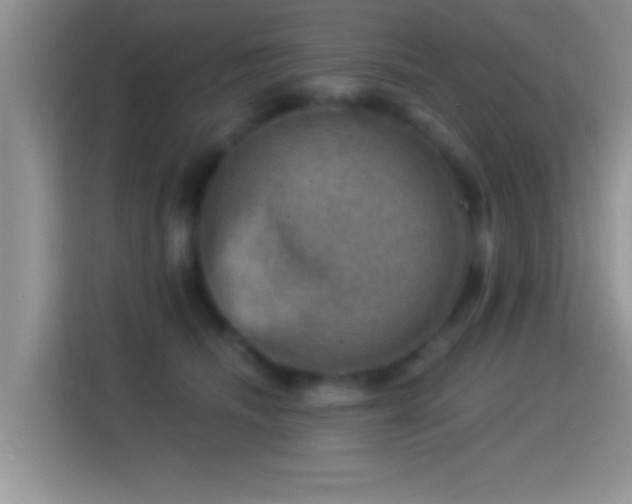 X0000116010468200911251124