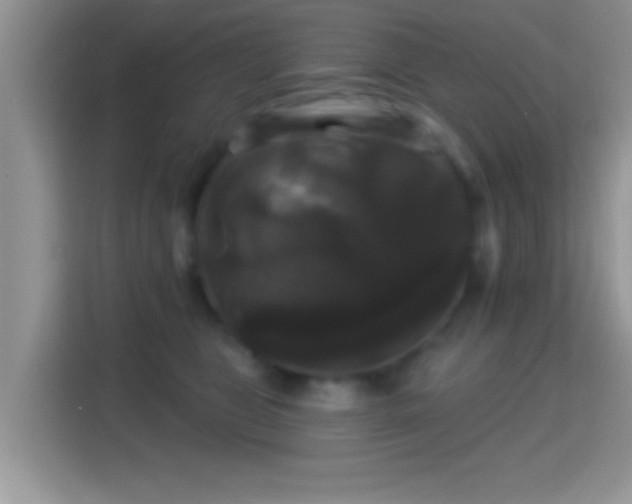X0000116010469200911251124