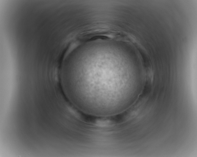 X0000116010470200911251124
