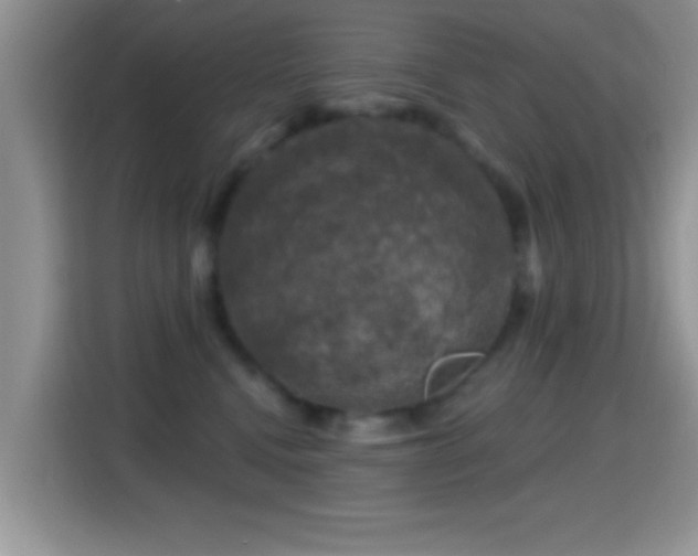 X0000116010472200911251124