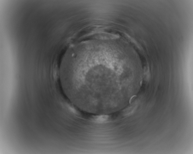 X0000116010474200911251124