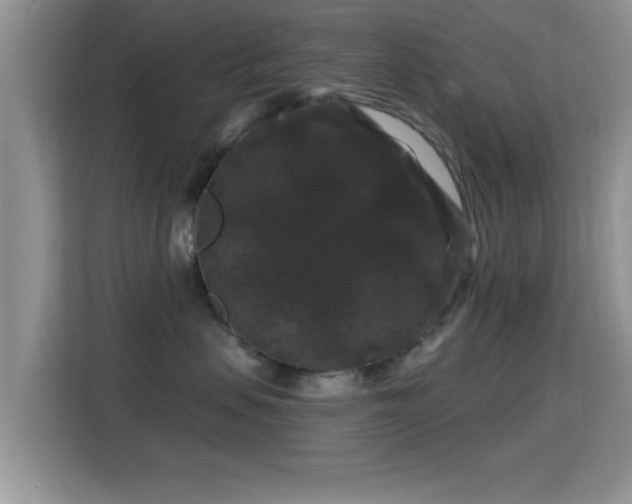 X0000116010479200911251124