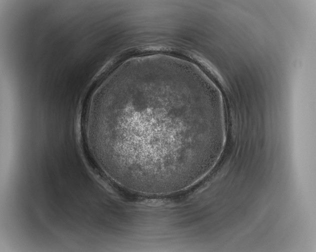 X0000116010482200911251123