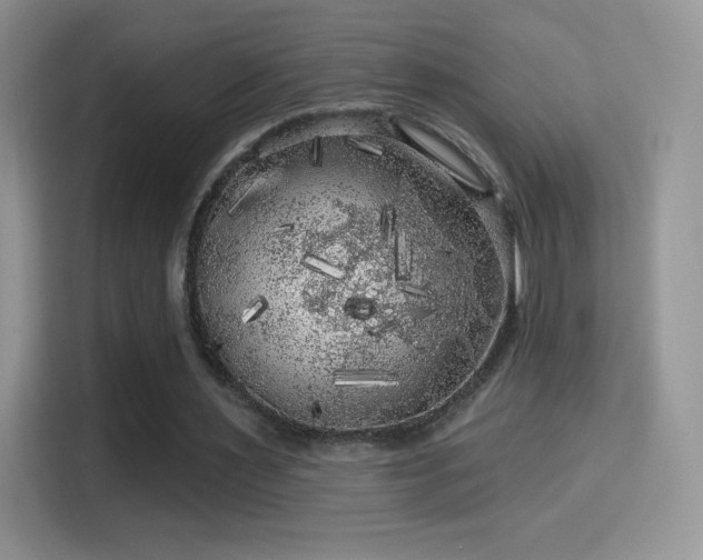 X0000116010483200911251123