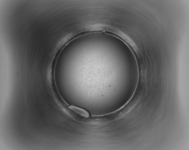 X0000116010485200911251123