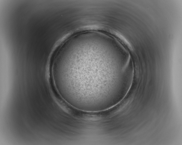 X0000116010486200911251123