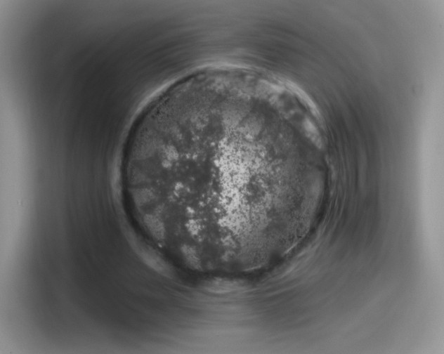 X0000116010487200911251123