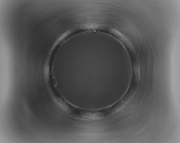 X0000116010488200911251123