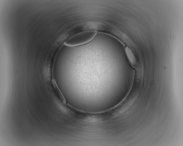 X0000116010489200911251123