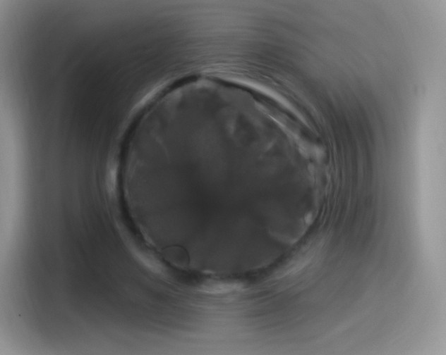 X0000116010491200911251123
