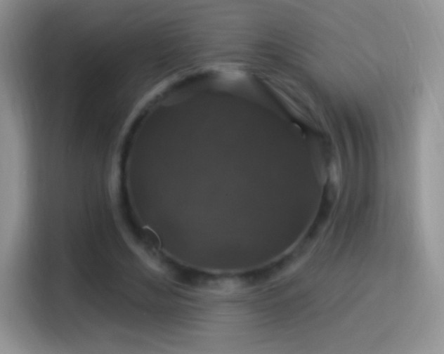 X0000116010492200911251123