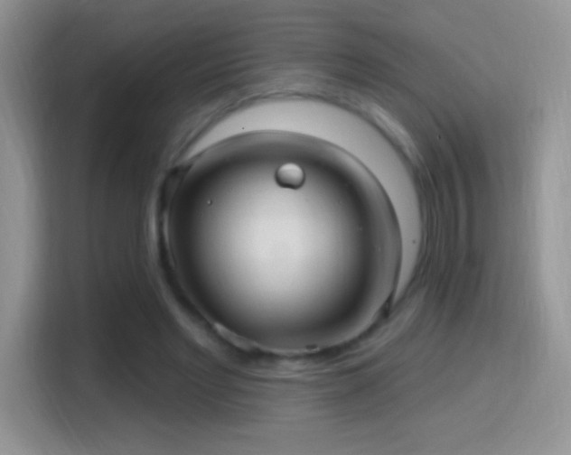 X0000116010493200911251123