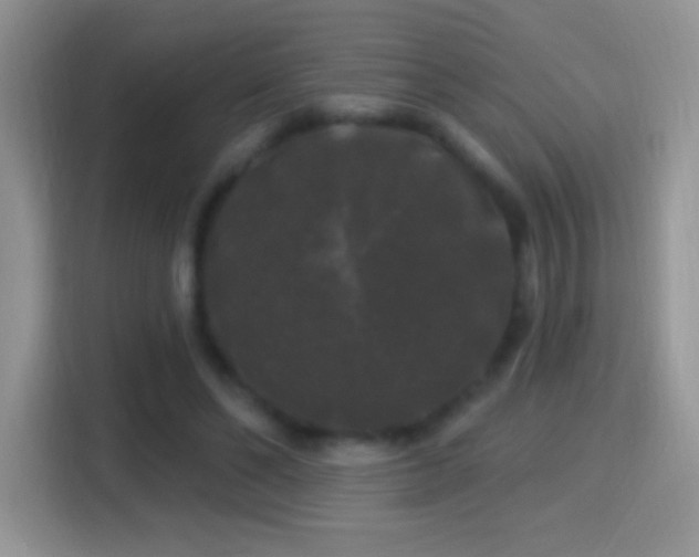 X0000116010494200911251123