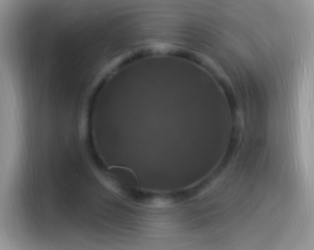 X0000116010496200911251123