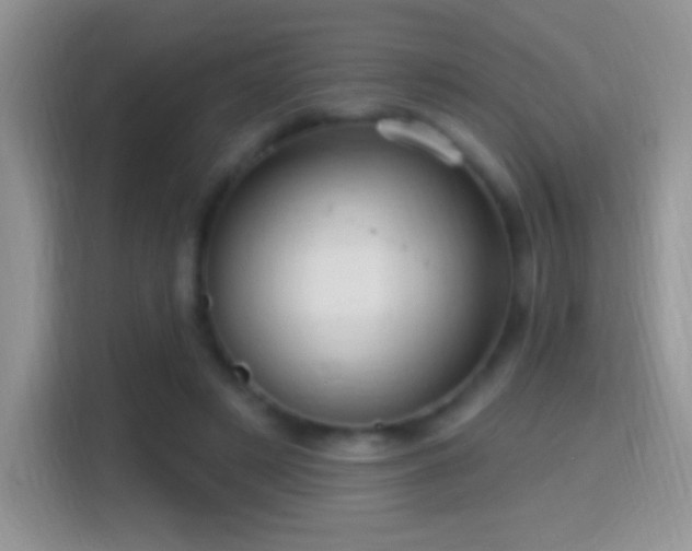 X0000116010497200911251123