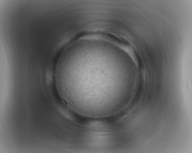 X0000116010499200911251123