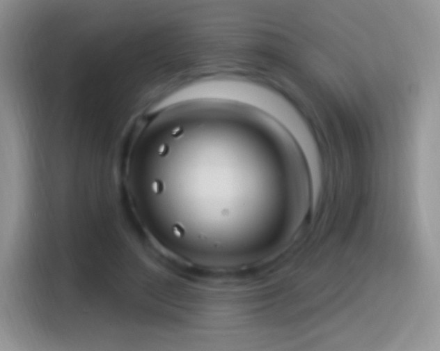 X0000116010500200911251123