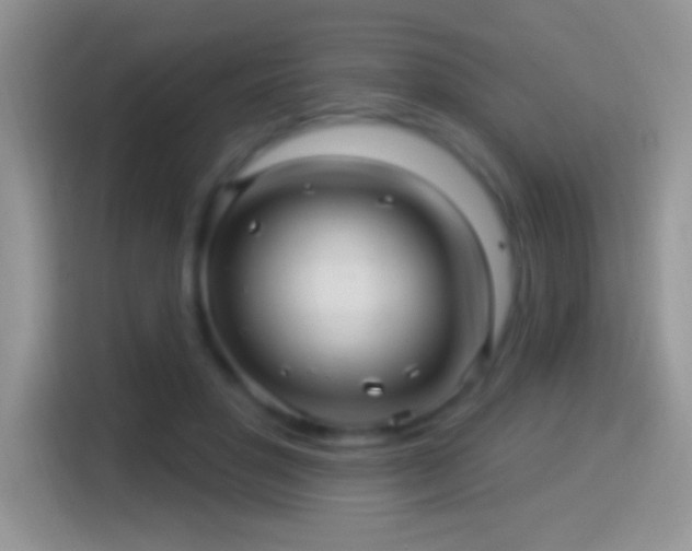 X0000116010501200911251123