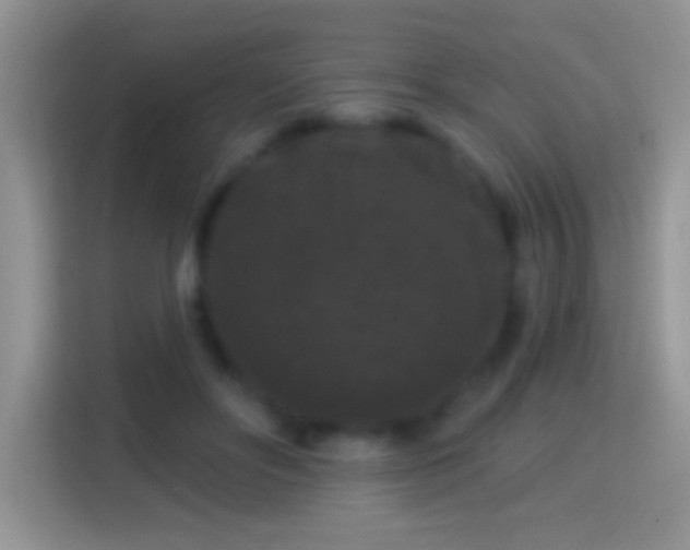 X0000116010502200911251123