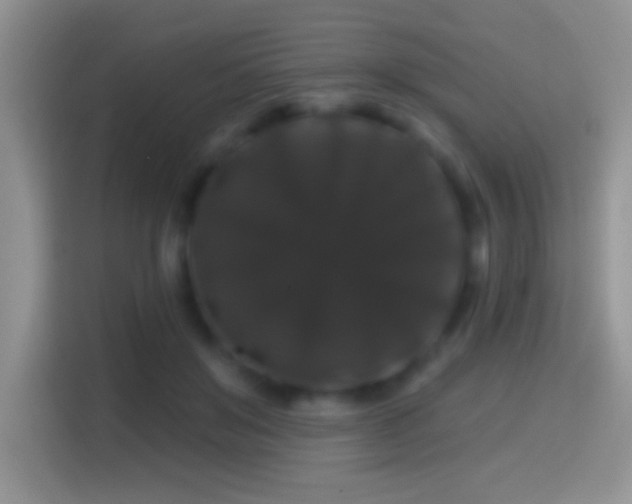 X0000116010503200911251123