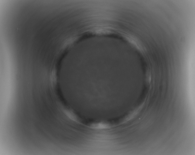 X0000116010506200911251123