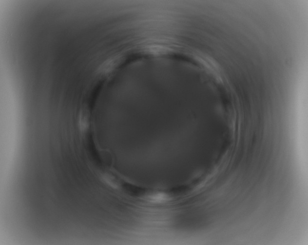 X0000116010507200911251123