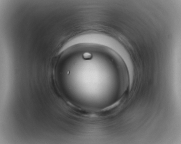 X0000116010509200911251123