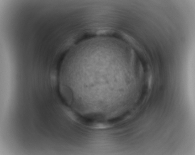 X0000116010510200911251123