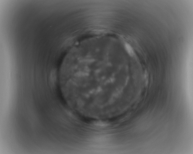 X0000116010511200911251123