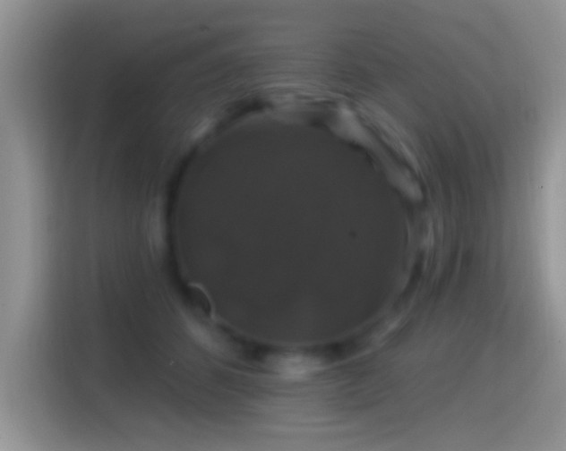 X0000116010512200911251123