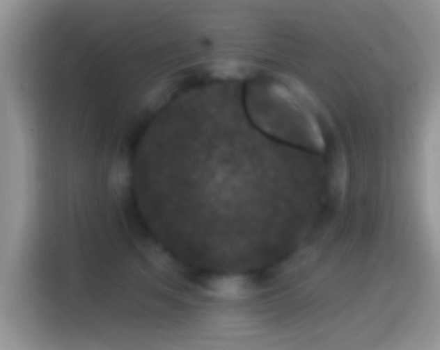X0000116010513200911251123